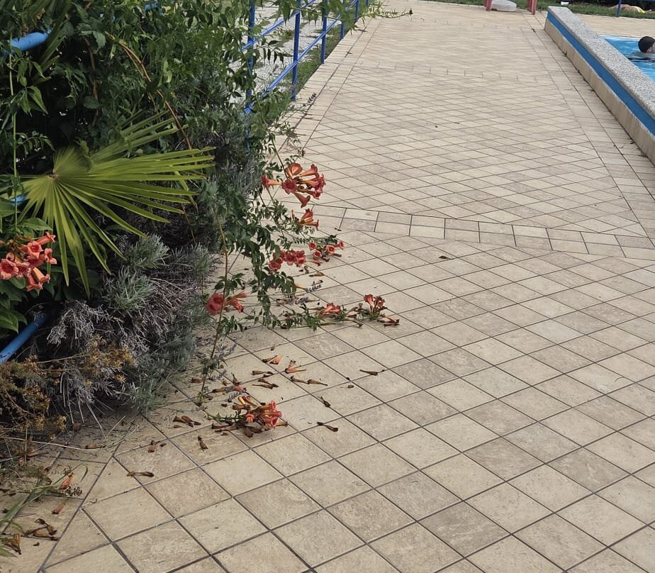 Lido Di Meina Swimming Pool-Meina必去景点