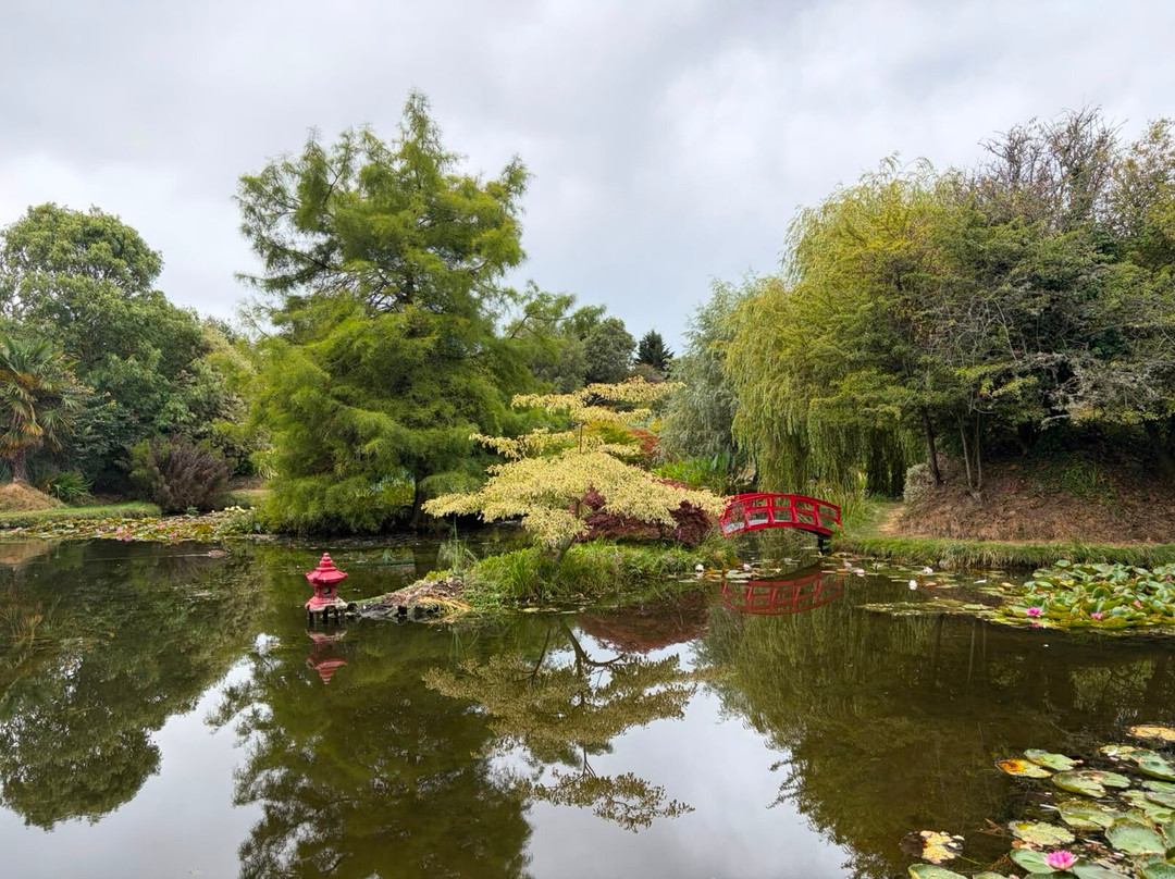 Bennetts Water Gardens-Chickerell必去景点