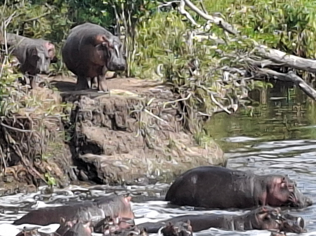 Marula Lodge Safaris-南卢安瓜国家公园必去景点