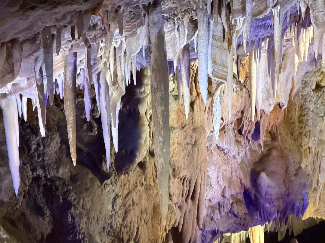 Glenwood Caverns Adventure Park-格伦伍德温泉必去景点
