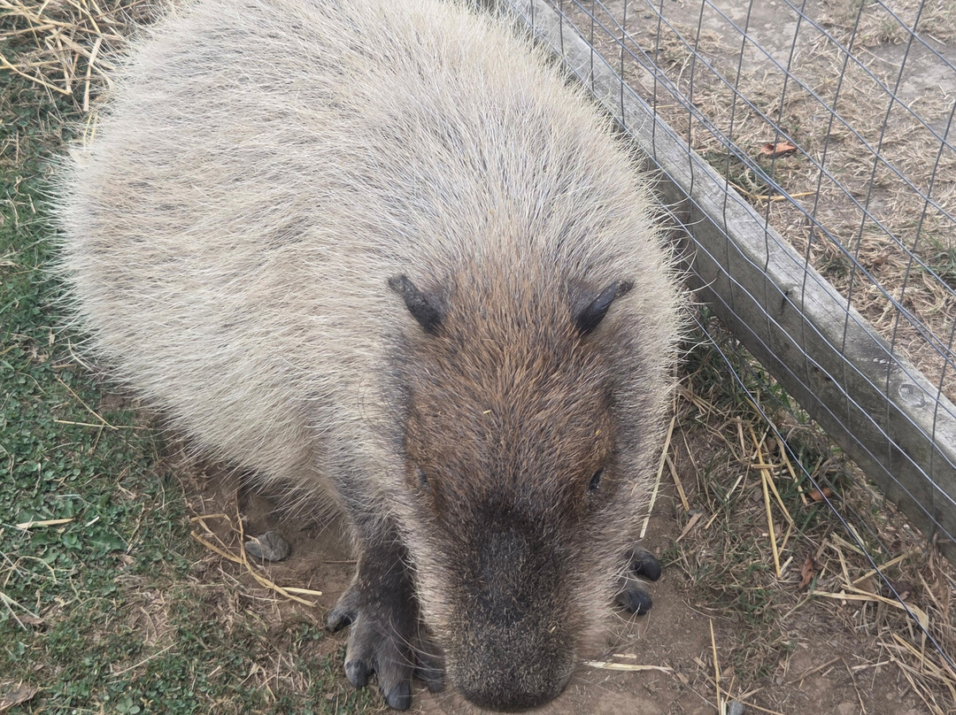 Secret Valley Wildlife Park-韦克斯福德必去景点