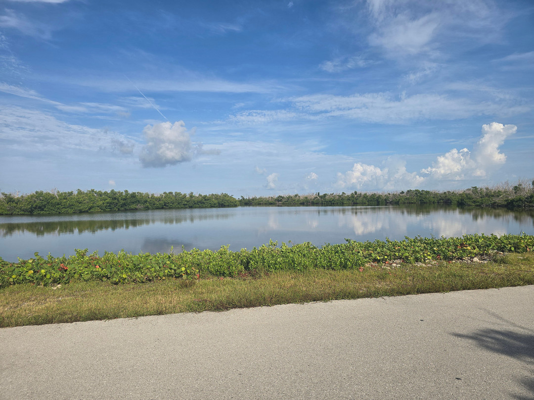 J.N. "Ding" Darling National Wildlife Refuge-萨尼贝尔岛必去景点