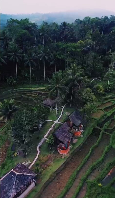 特皮萨瓦小屋主图