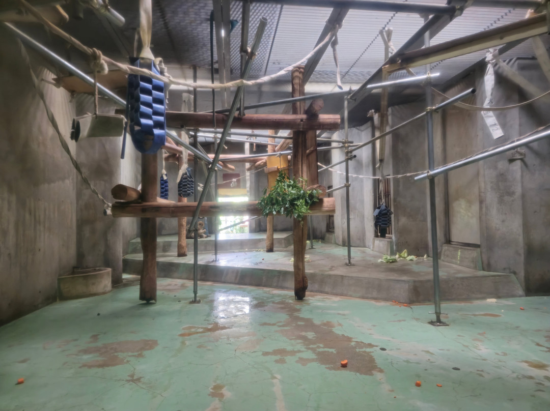 Awajishima Monkey Center-洲本市必去景点