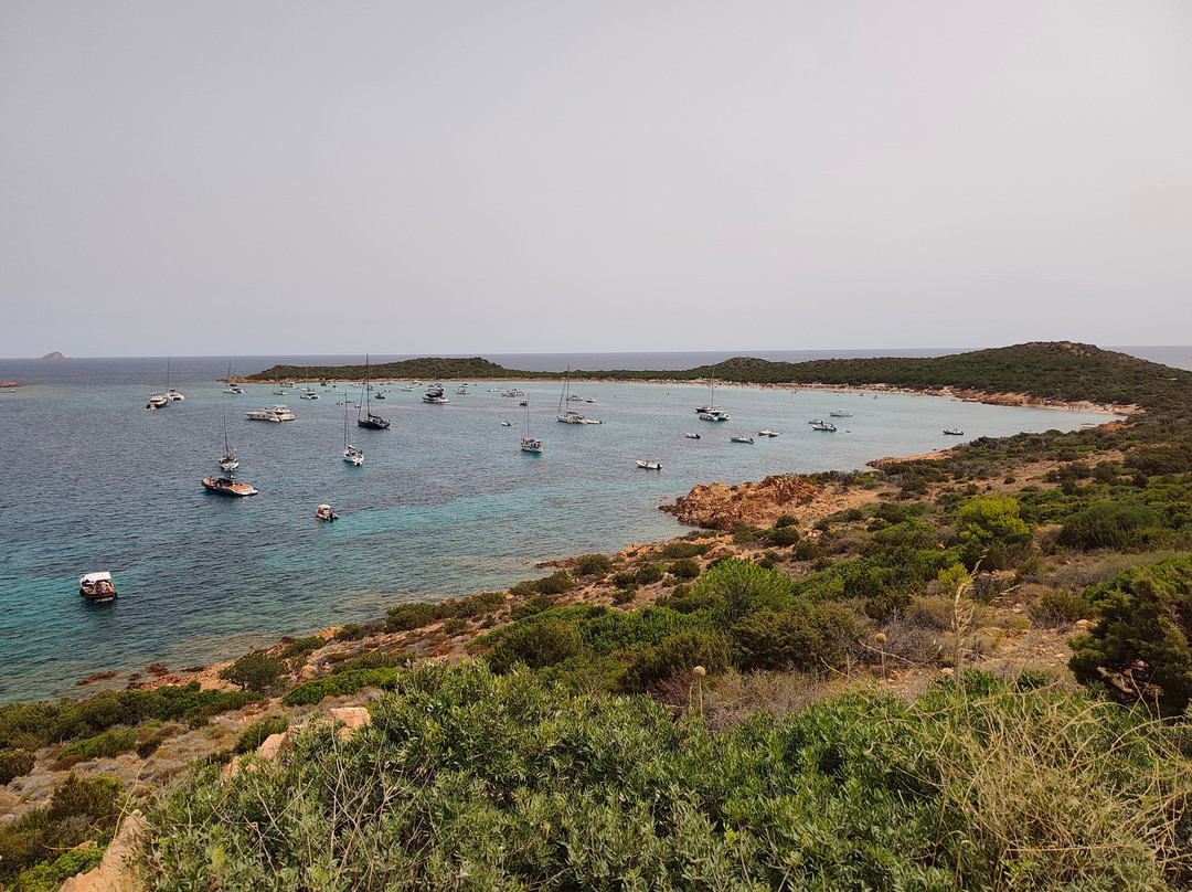 Spiaggia Capo Coda Cavallo-San Teodoro必去景点