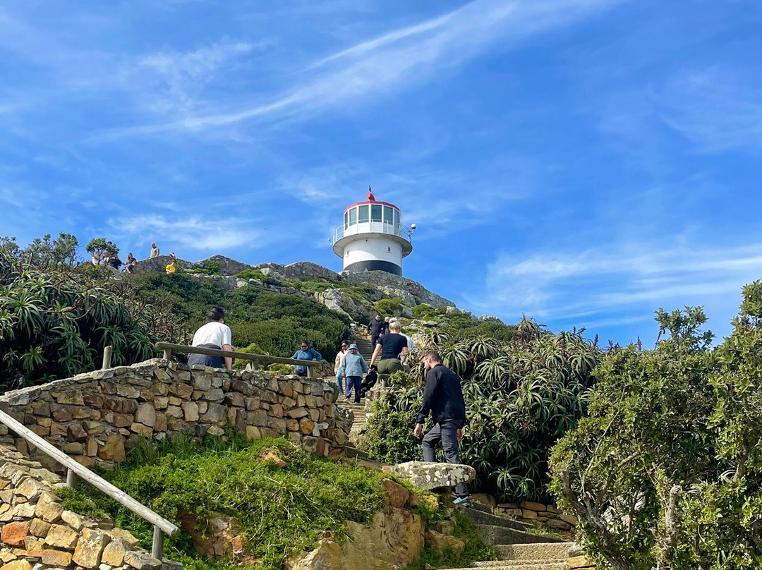 Glorious Cape Tours-开普敦中心区必去景点