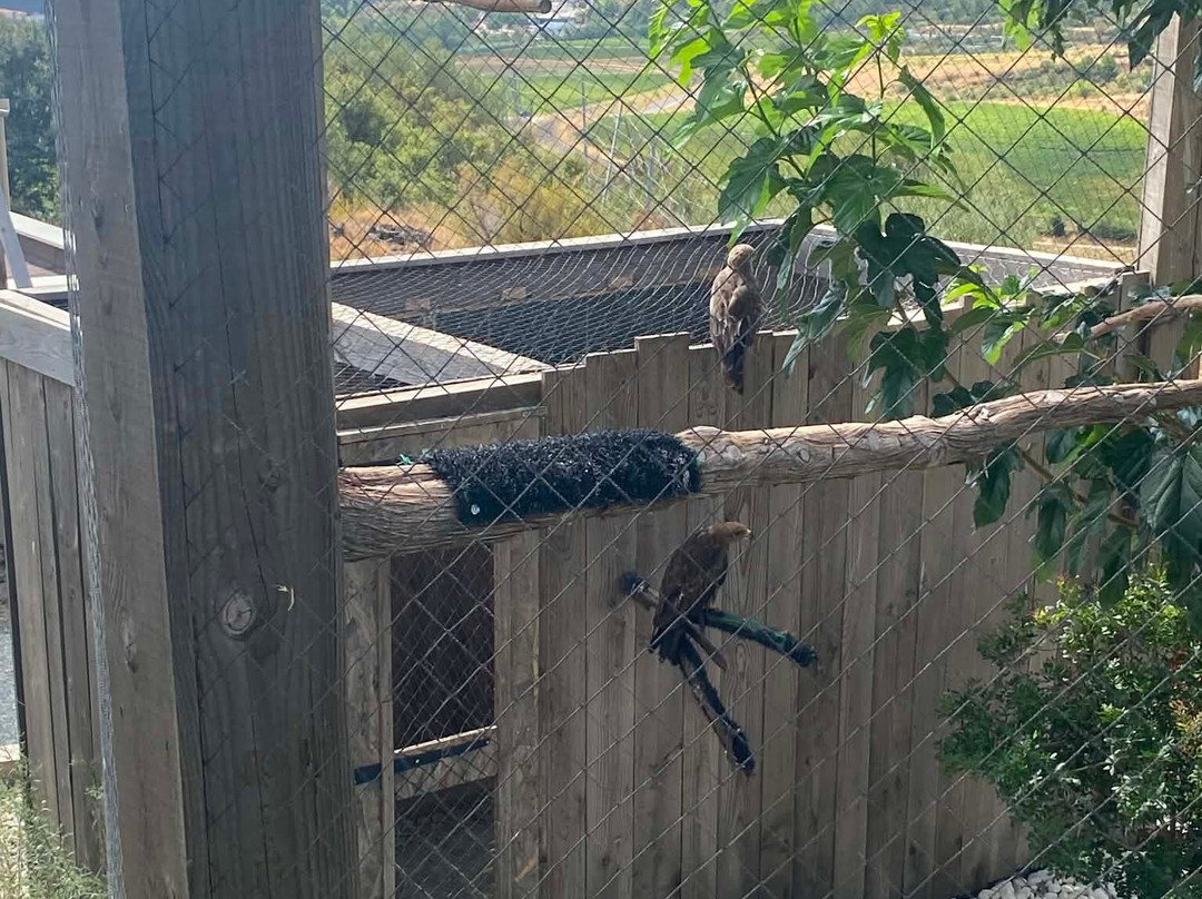 EcoZonia - Parc Animalier-Cases de Pene必去景点