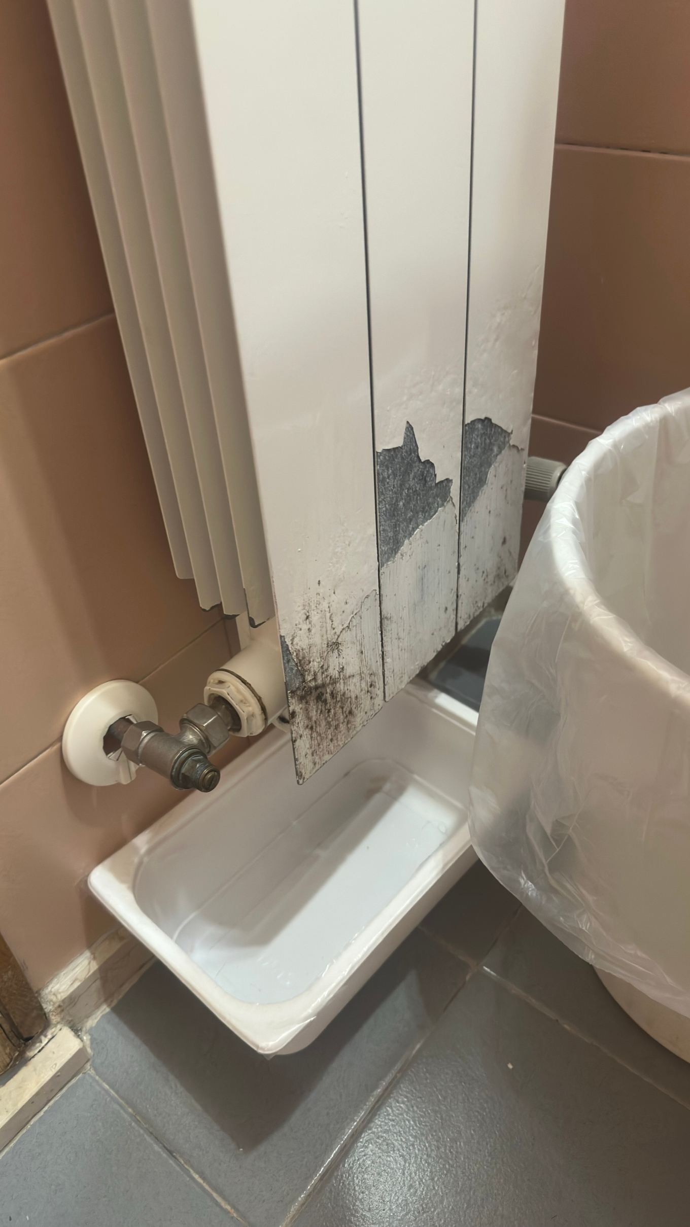 阿尔伯果法齐欧福尔诺酒店-旅行者