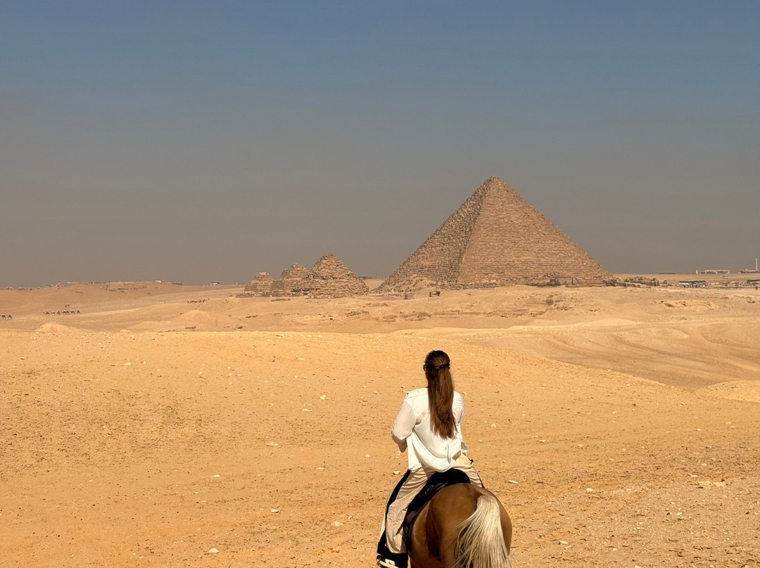 Horse Trips Egypt-Tunis必去景点