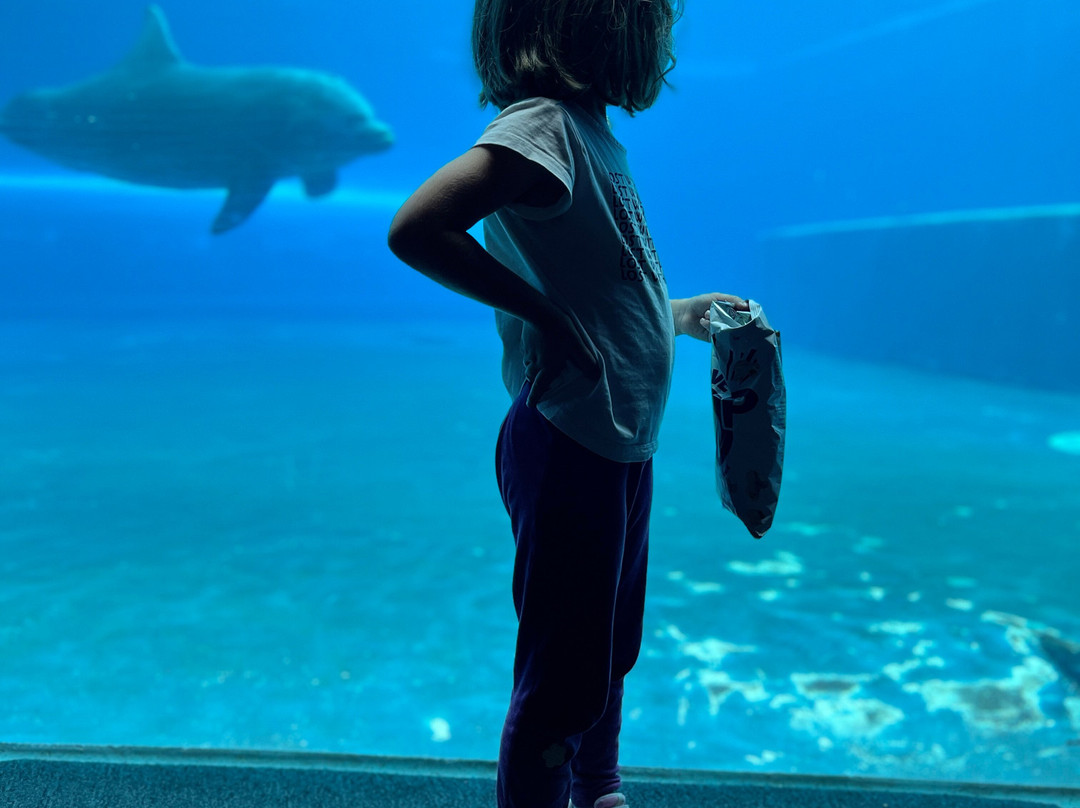 热那亚水族馆-热那亚必去景点