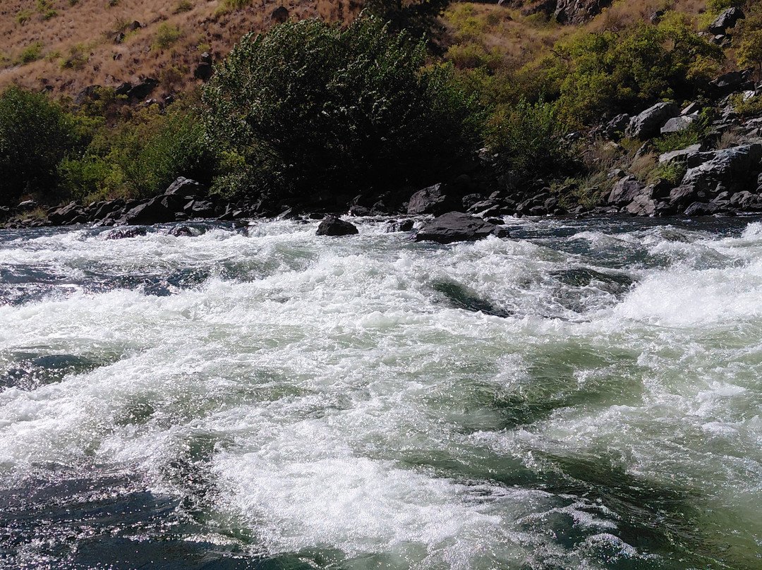 Killgore Adventures Hells Canyon Jet Boat Trips & Fishing Trips-White Bird必去景点