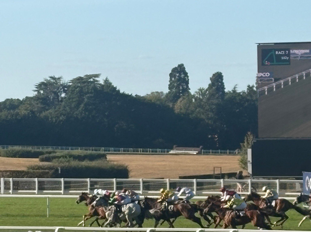 Ascot Racecourse-Ascot必去景点