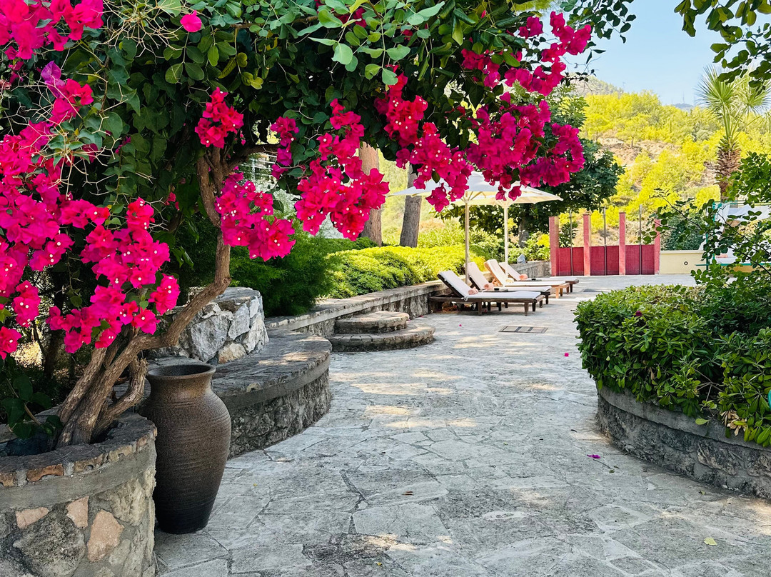 Gillham Vineyard Hotel主图