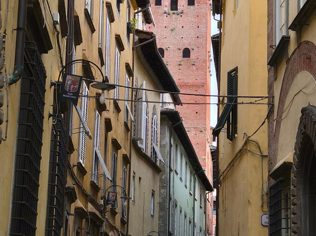 Lucca Tours-卢卡必去景点