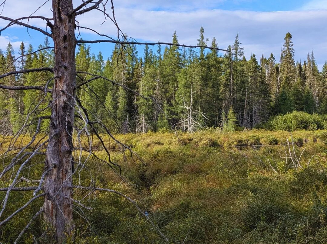 Sentier Pédestre Boisé Joseph BB Gauthier-Lac-Saguay必去景点