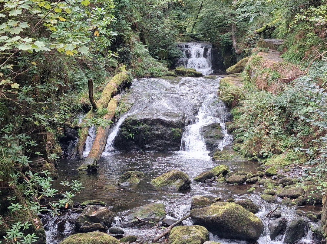 Watersmeet House-林茅斯必去景点