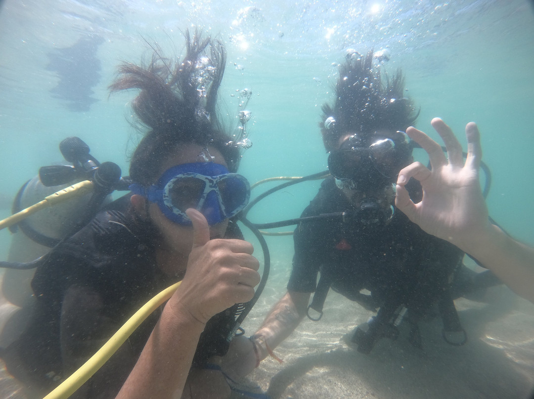 Boipeba Mergulho - Scuba Diving Center-Morere必去景点