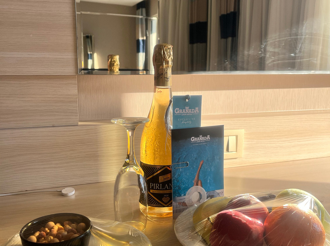 格兰纳达海滩华丽酒店 - 全包式主图