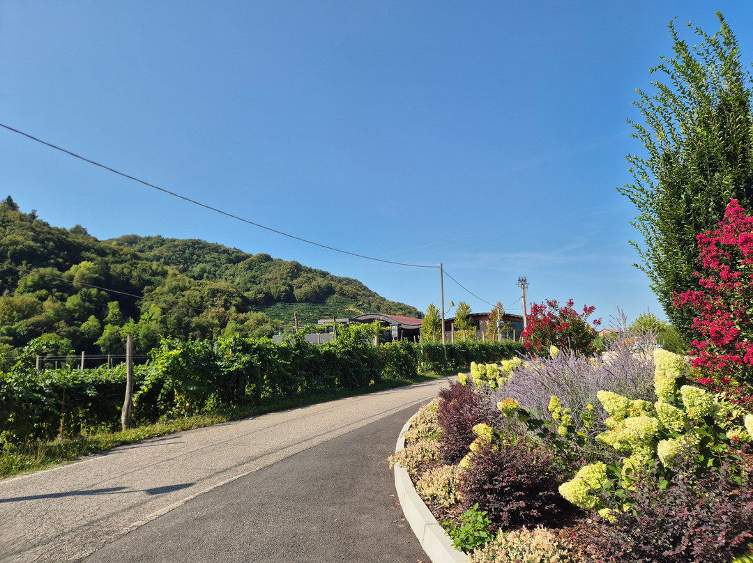 Nani Rizzi Spumanti di Valdobbiadene-Valdobbiadene必去景点