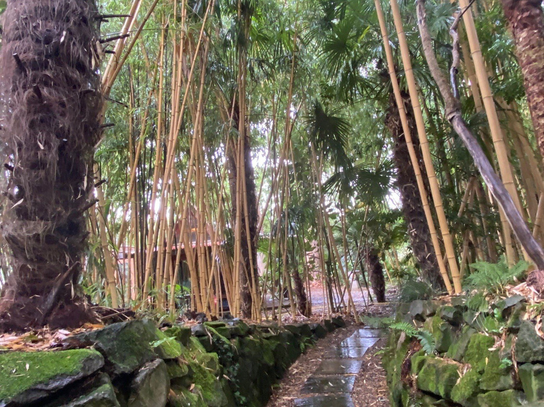 Henstead Exotic Garden-Beccles必去景点