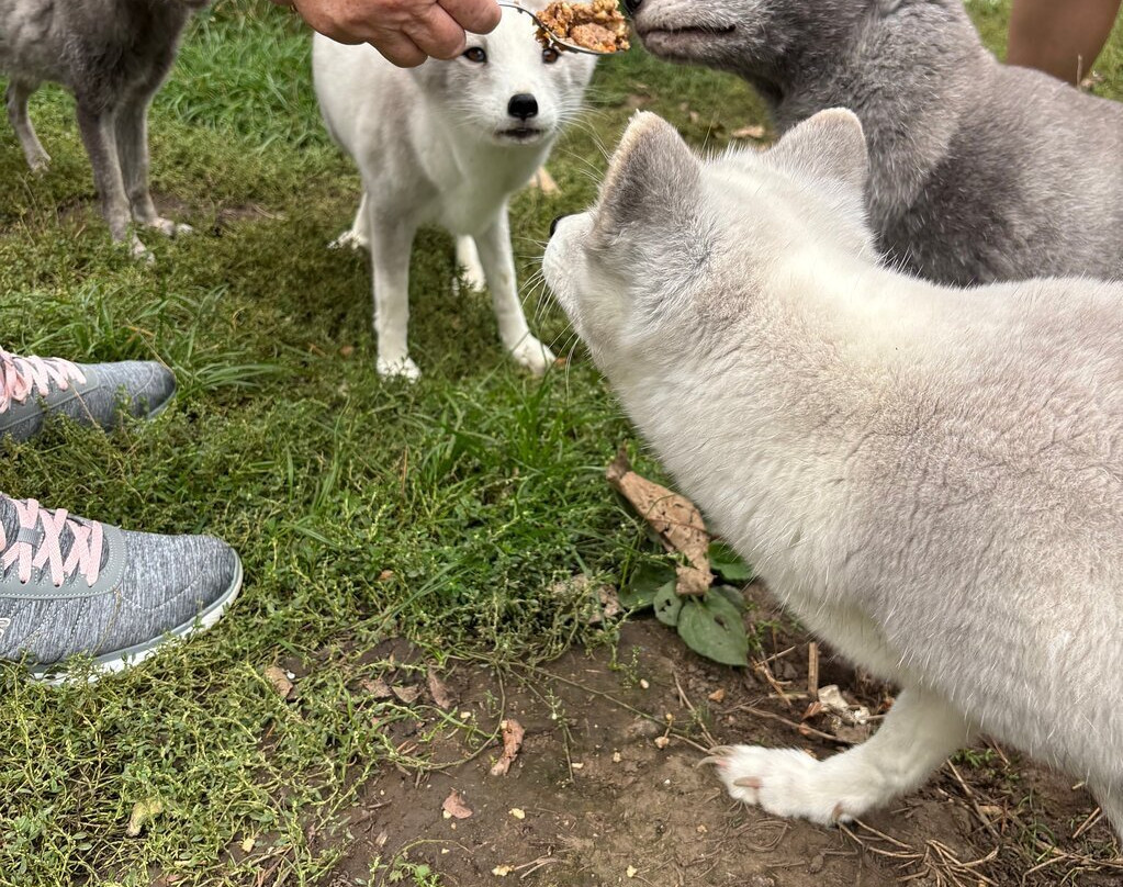 Ark Wildlife Park & Exotic Animal Sanctuary-Stickney必去景点