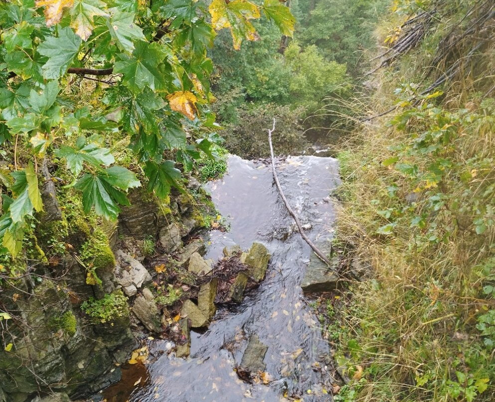 Valaste Waterfall-Valaste必去景点