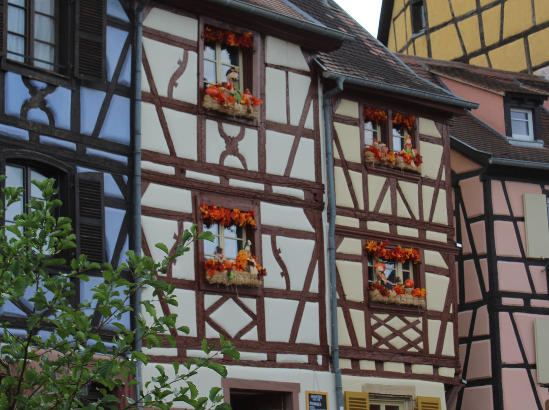 Barque Colmar "au fil de l’eau" - Sweet Narcisse-科尔马必去景点