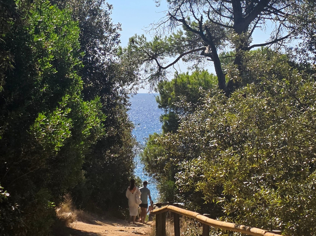 Playa Cala Sa Boadella-犹兰特德玛必去景点