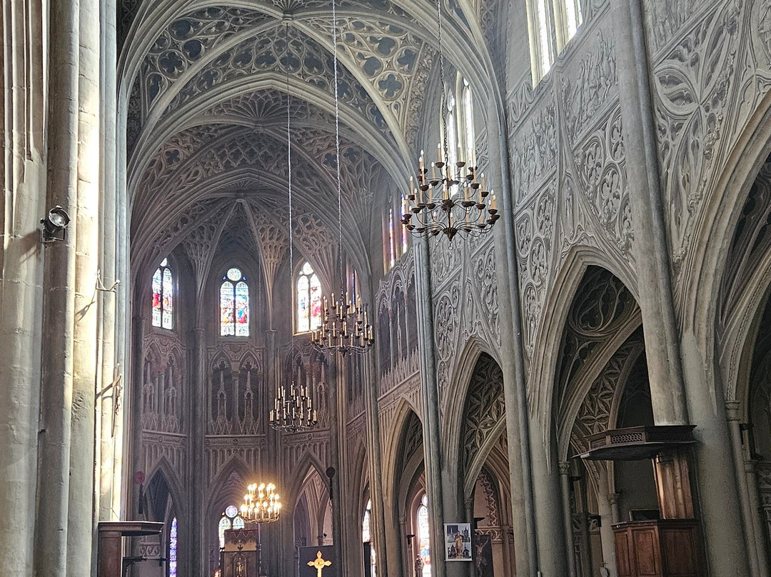 Cathédrale Saint-Francois-De-Sales-尚贝里必去景点