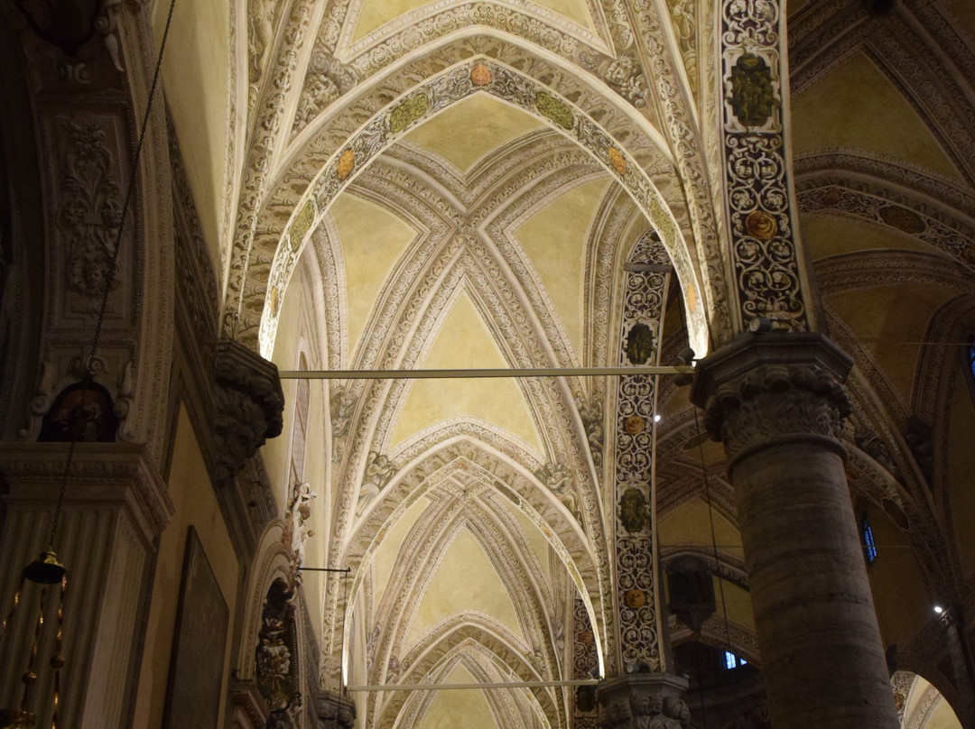 Duomo Santa Maria Annunziata-萨罗必去景点