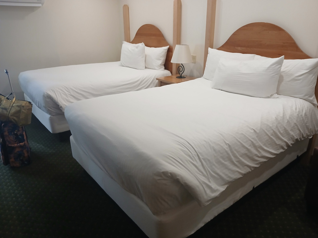 公园广场山林小屋主图