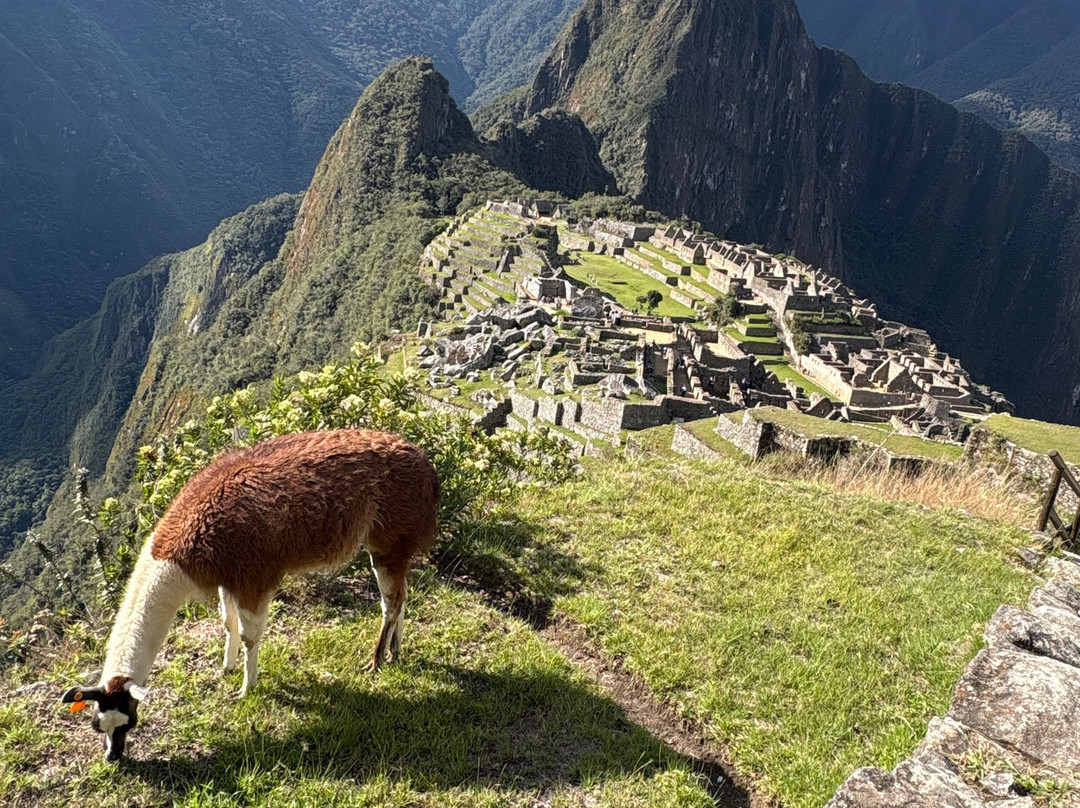 Mountain Gods Peru - Day Tours-库斯科必去景点