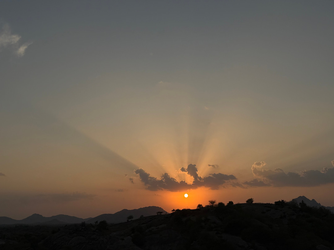 Brij Pola, Jawai - Luxury Jungle Camp with Private Pools主图