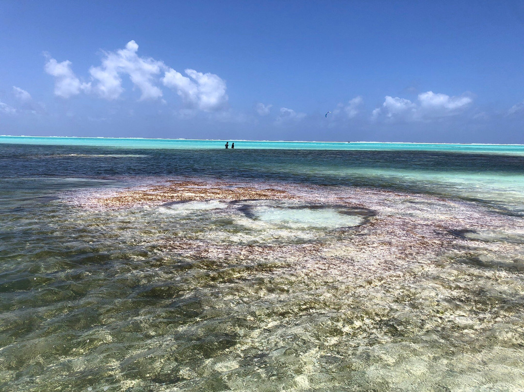 Jambiani Beach-江比阿尼必去景点