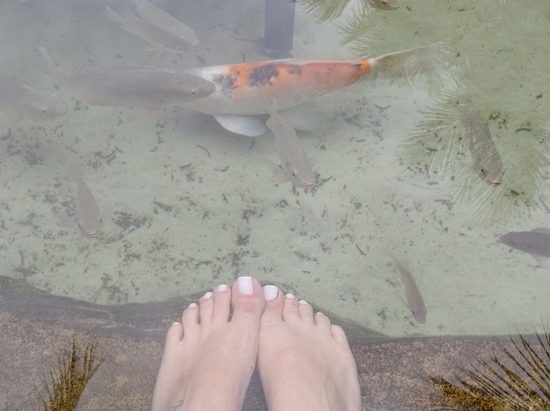 Carpe Diem Eco Resort 奥林匹亚主图