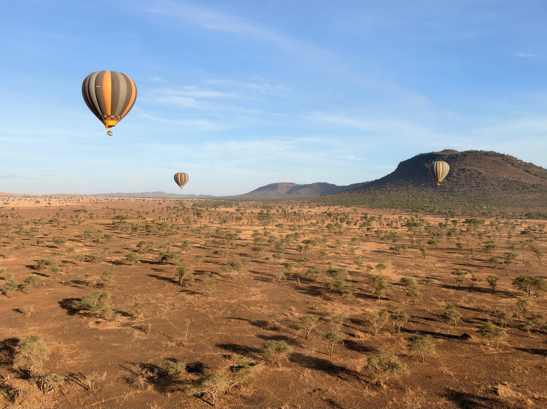Nyssa Balloon Safaris-Seronera必去景点