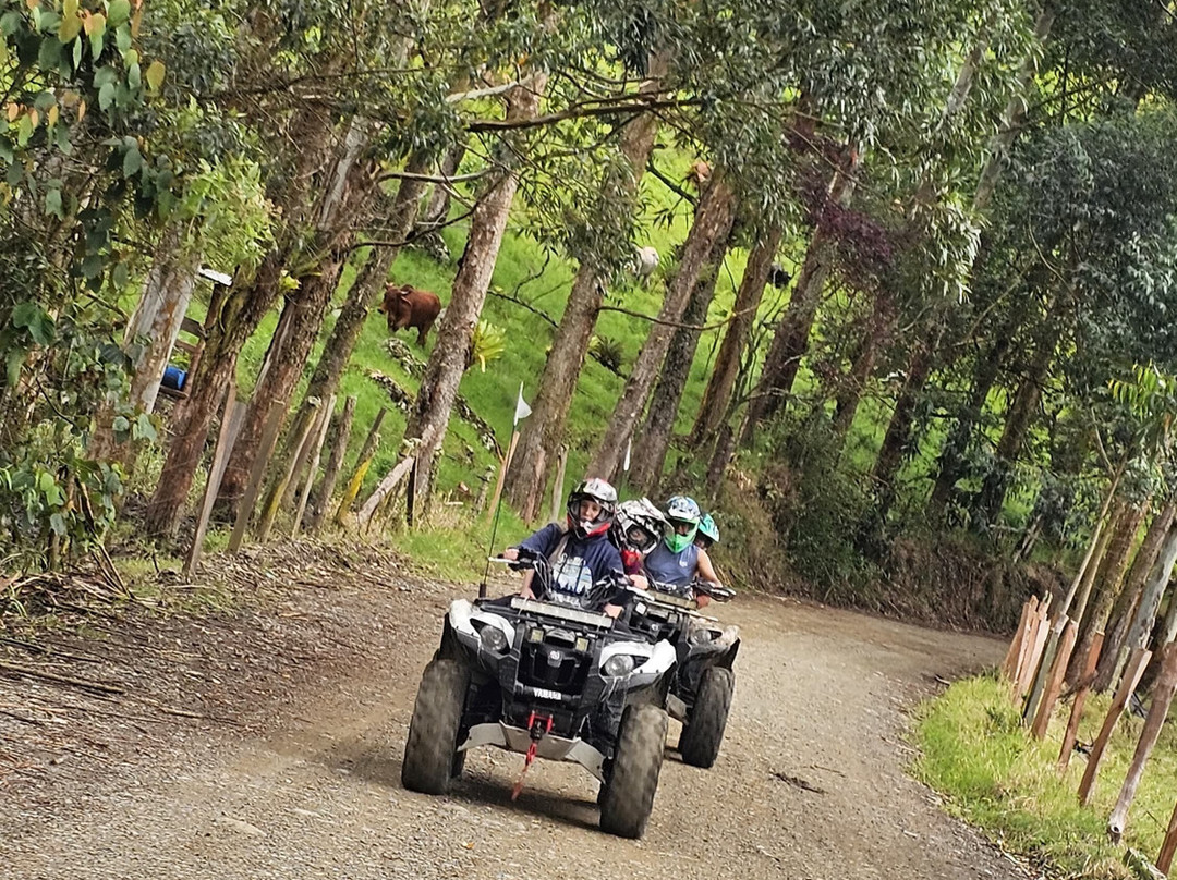 Cuatrimotos 360 Tours-Jardin必去景点