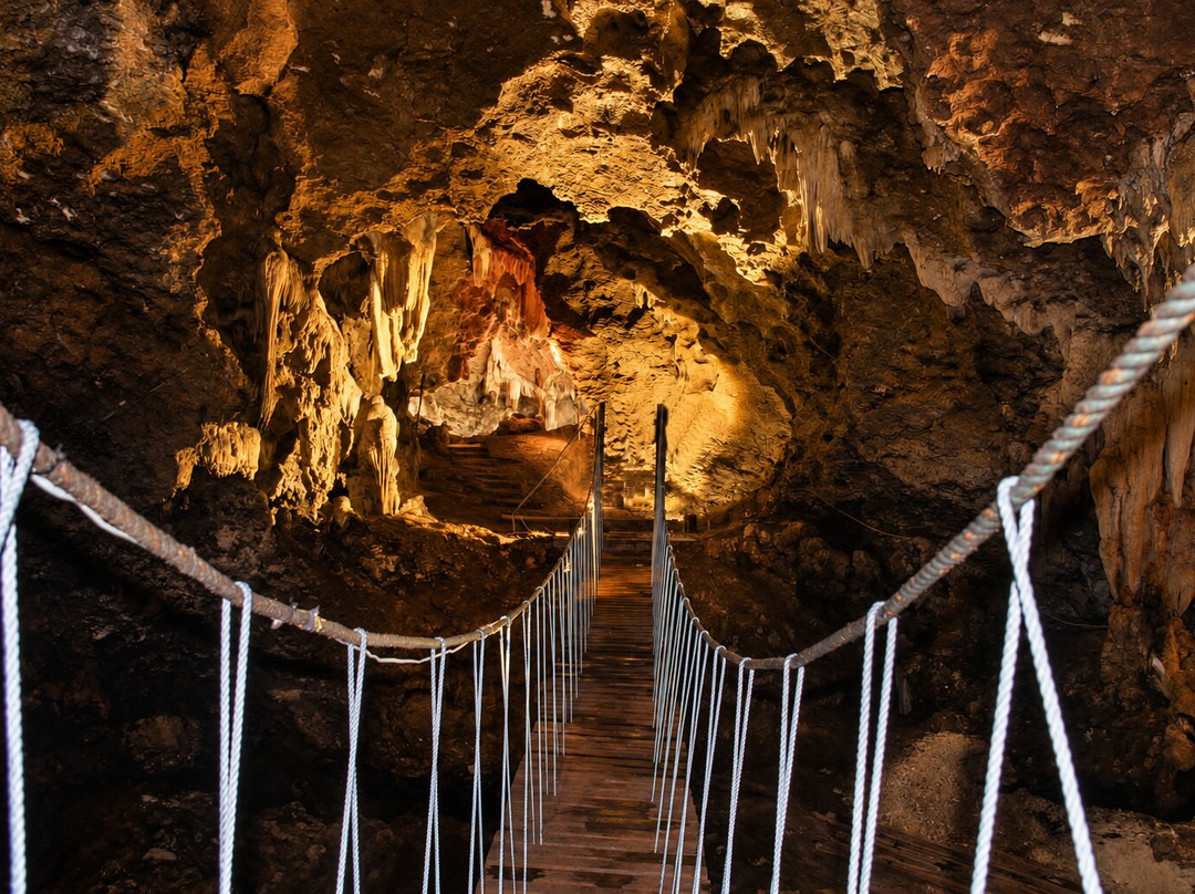 Freshwater Plantation Tour-Aore Island必去景点