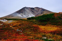 My Japan Guide景点图片