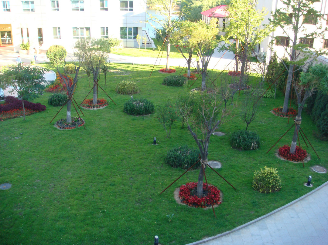 大雁楼宾馆主图