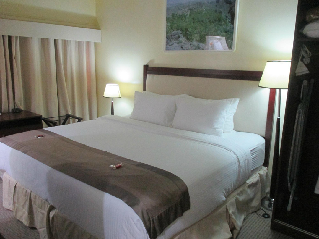 锡卜酒店住宿-Oman Palm Hotel Suites