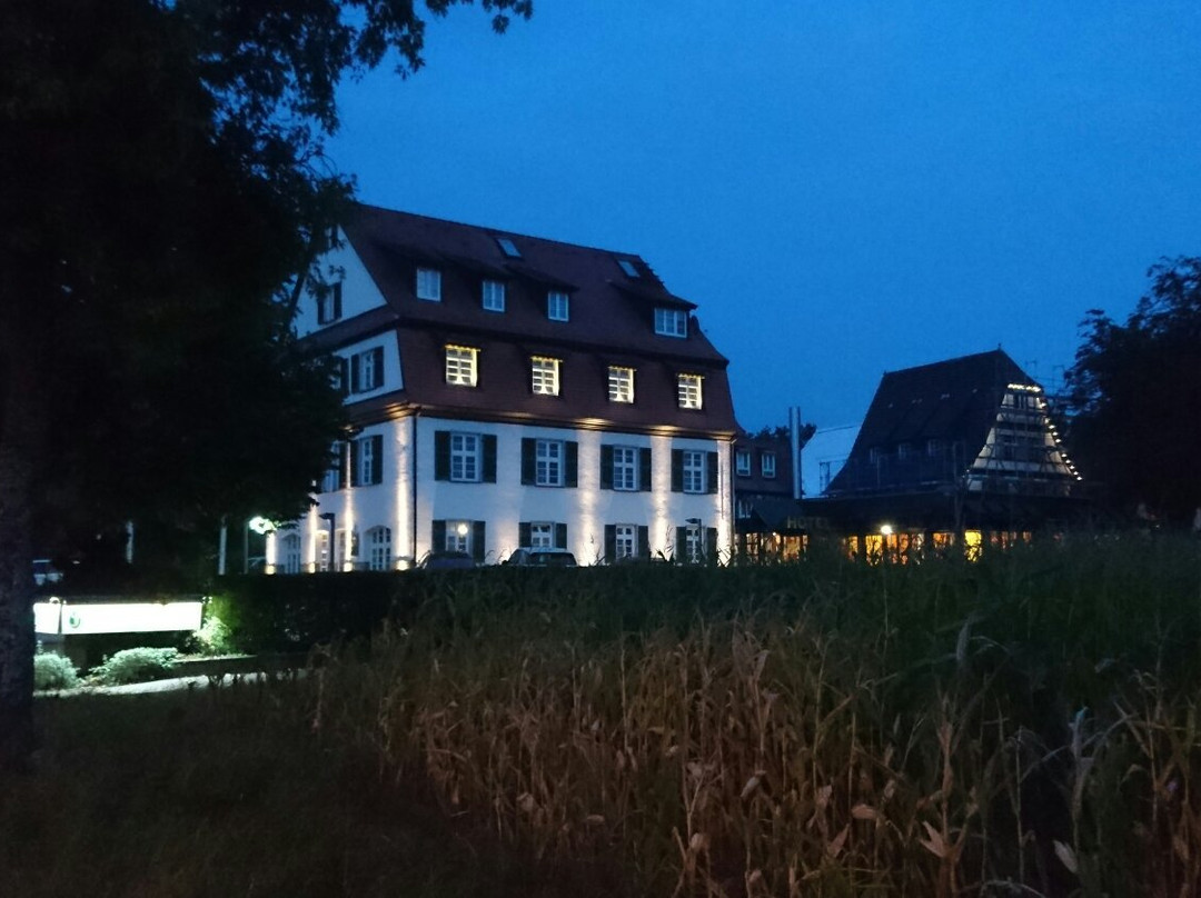 Altbach酒店住宿-Hotel Jägerhaus