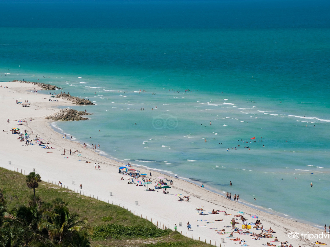 迈阿密海滩旅游攻略图片