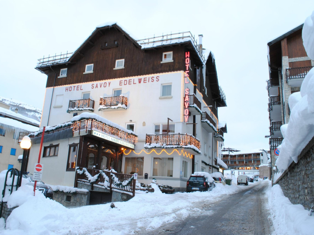 Sestriere酒店住宿-Hotel Savoy Edelweiss