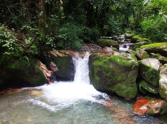 哀牢山国家级自然保护区-新平彝族傣族自治县必去景点