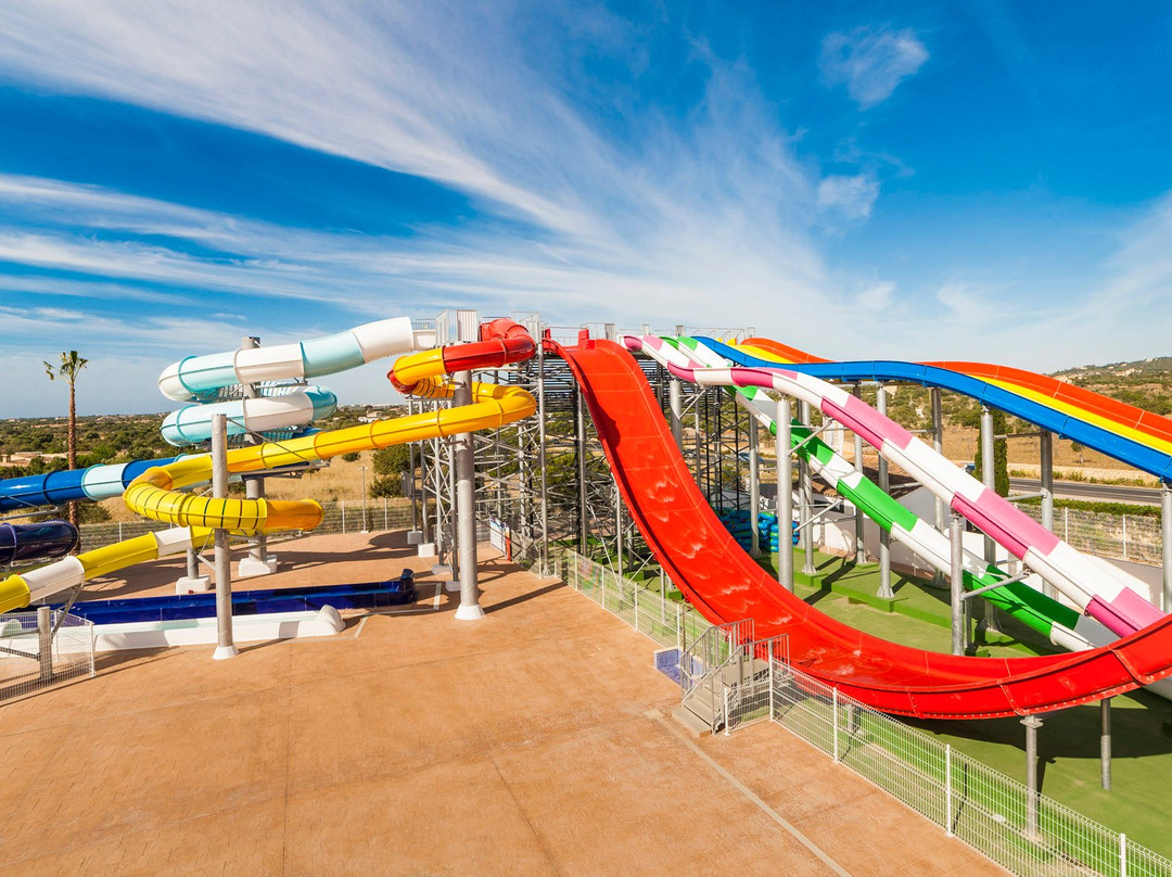 Globales Bouganvilla