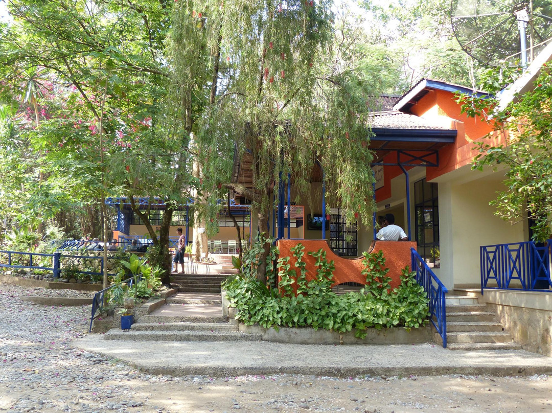 Jinka Resort