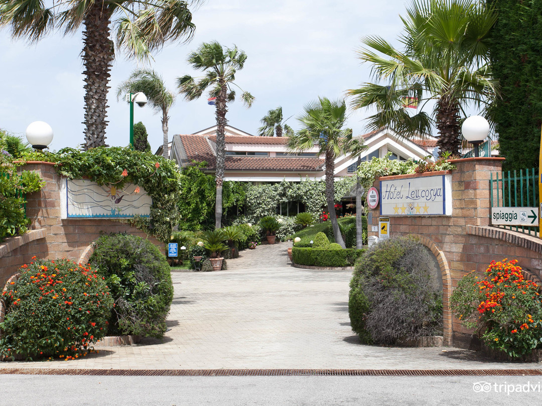 Casal Velino酒店住宿-Hotel Leucosya