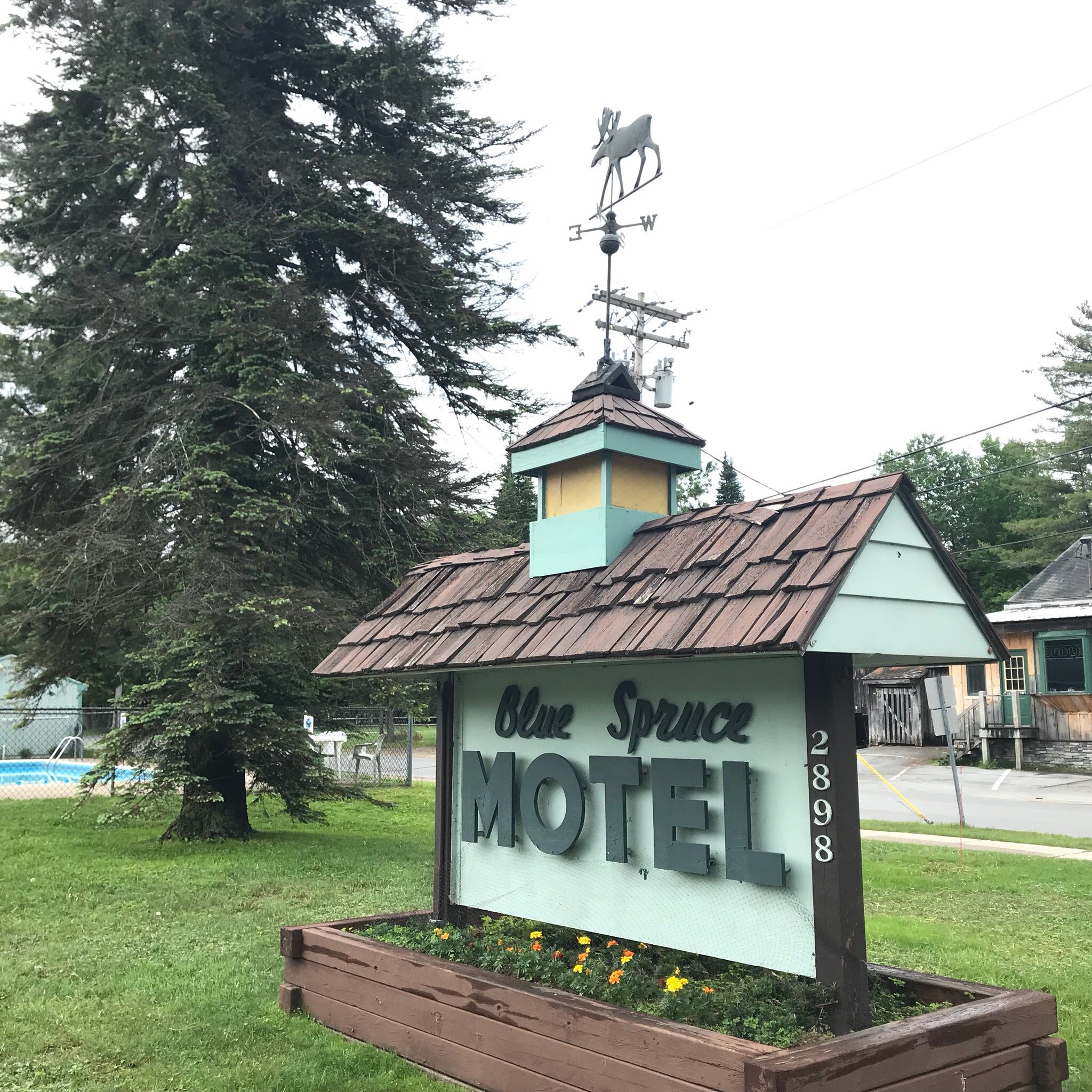 The Blue Spruce Motel-官方