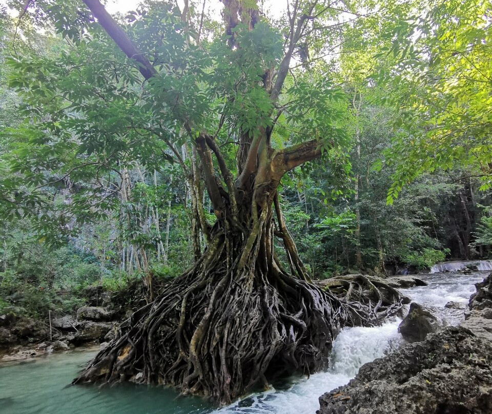 Cambais Falls-宿雾必去景点